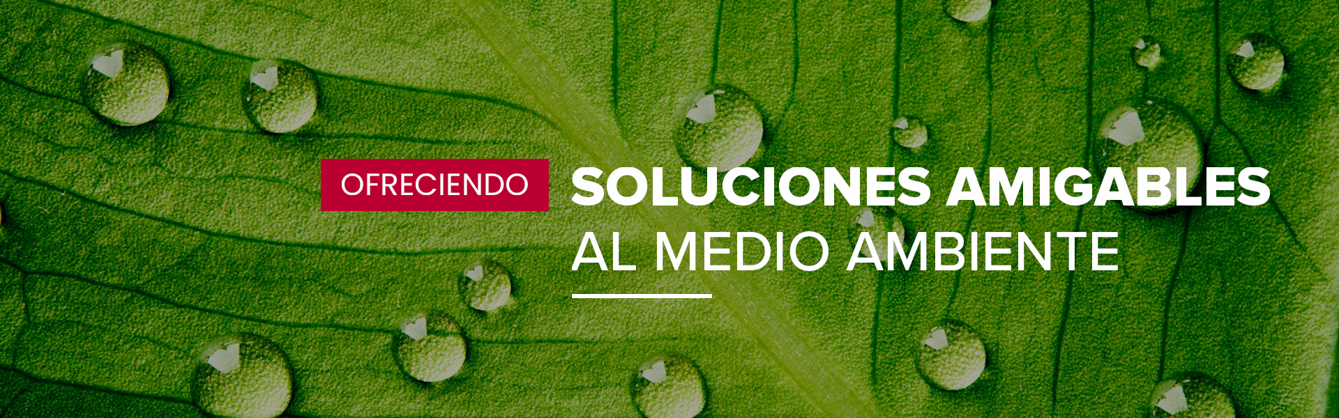 betco-amigbles